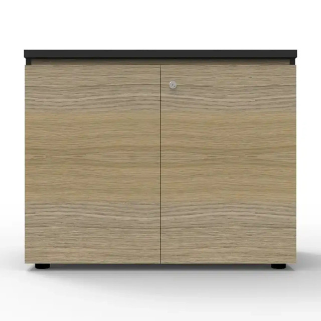 Rapid Infinity Swing Door Cupboard