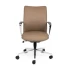 Director Mid Back Tan leather