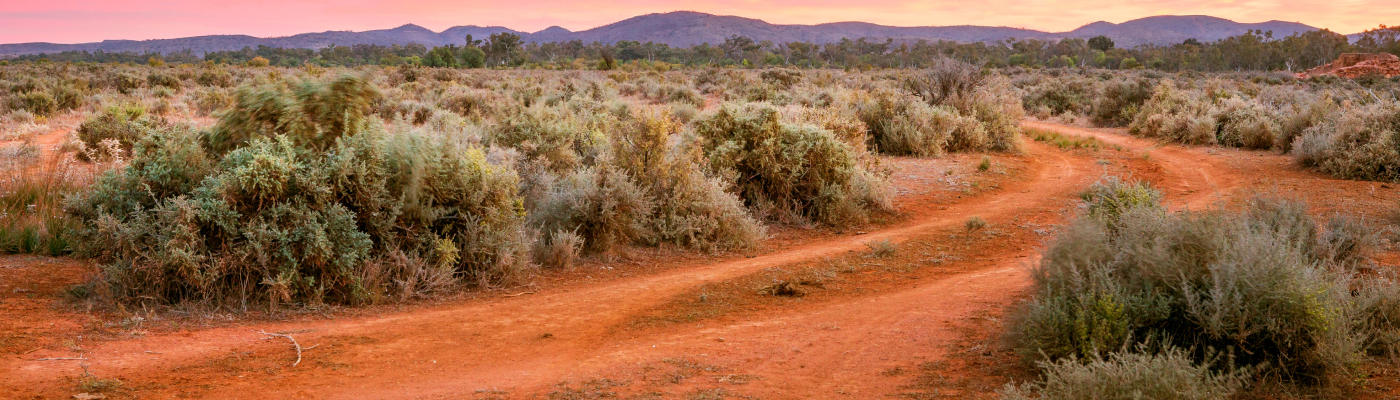 A winding dirt path cuts through a shrub-filled desert landscape at sunset.