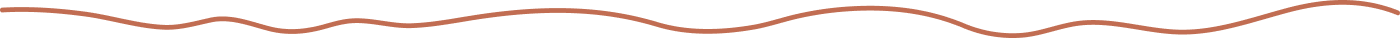 Divider Line