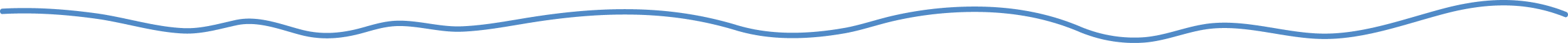 Divider Line