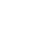 Step 4 Icon