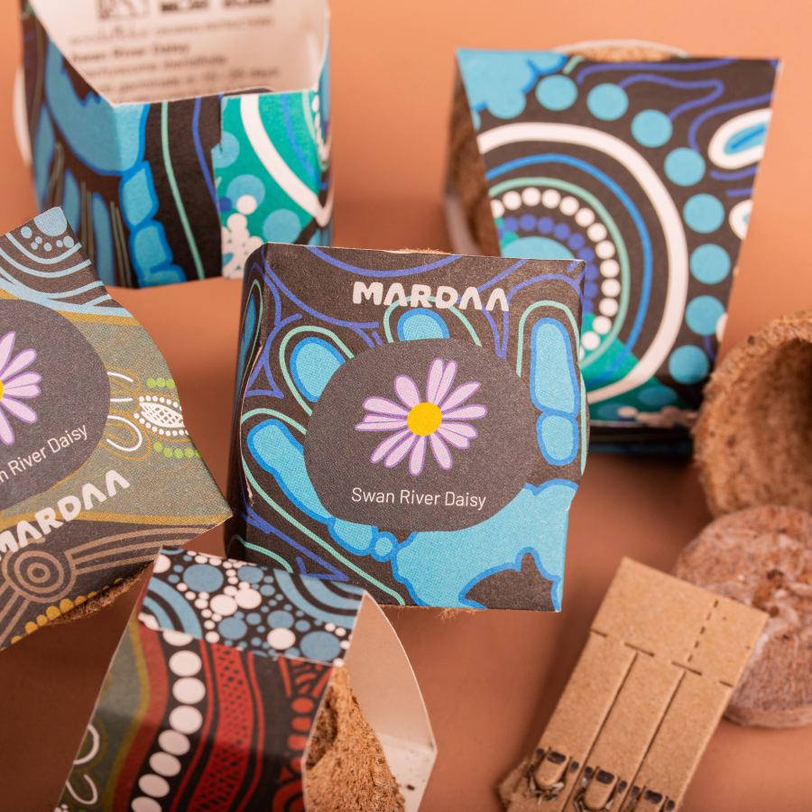 Colorful seed packets for Swan River Daisy with vibrant blue and red Aboriginal-inspired designs on a brown background. Fun and artistic.