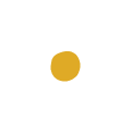 Step 4 Icon