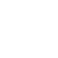 Step 4 Icon