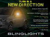 Fiat 500 Side View Mirror LED Turnsignals Accent Lights Turn Signals Markers Signalers Lamps