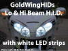 BlingLights Headlight Xenon HID Conversion Kit for Honda Gold Wing GL1500