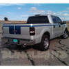 Ford F-150 F150 Tinted Smoked Taillamps Taillights Overlays Film Protection