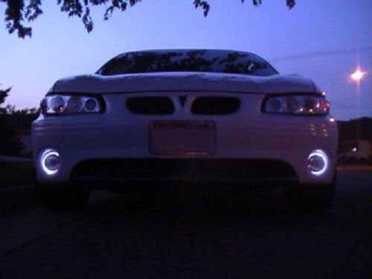 Halo Fog Lamps for 1997 1998 1999 2000 2001 2002 2003 Pontiac Grand Prix