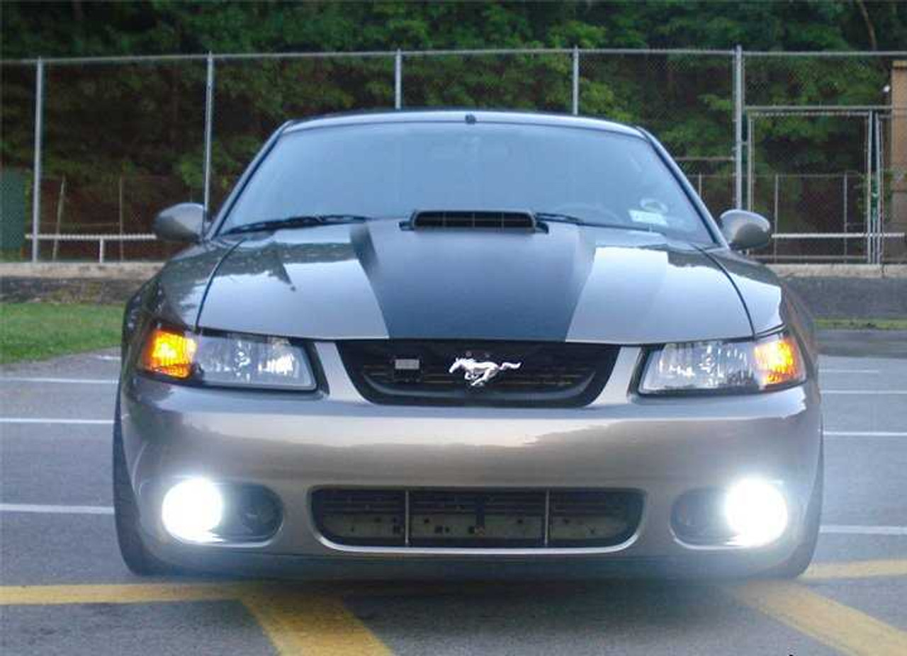 BlingLights Brand Halo Fog Lights for 1999-2004 Ford Mustang GT SVT Cobra