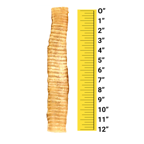 12" Beef Trachea