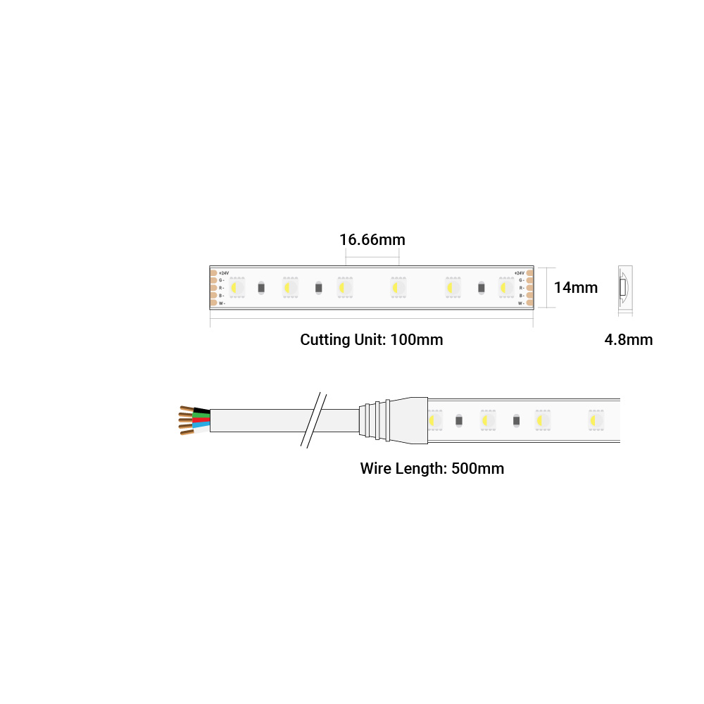 Colors series d560RGBW striscia led RGB + 4000k 5 metri 19,2 W/M 24V 60 Led/M  ip20