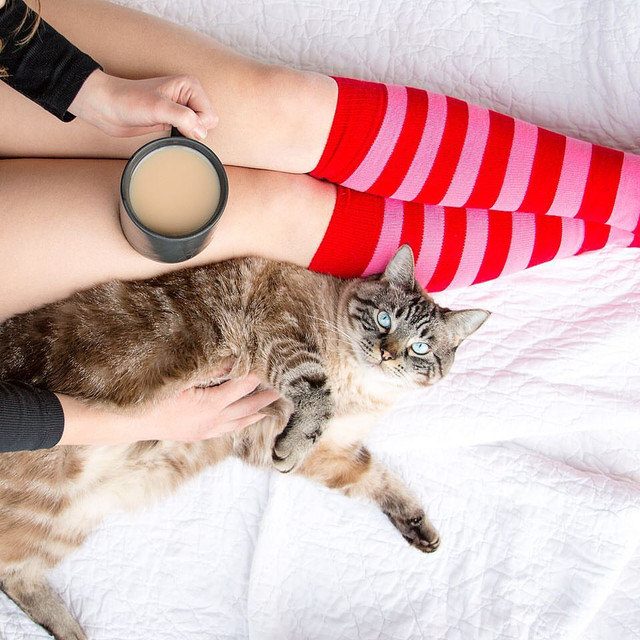 girl laying with cat and coffee on bed in striped socks