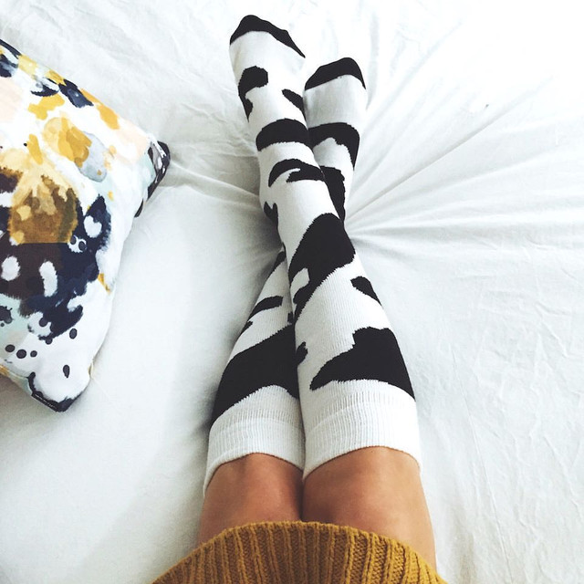 cow pattern socks