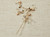 Bridal Hair Pins | HP2419
