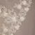Royal Cathedral Bridal Veil | V2697RC