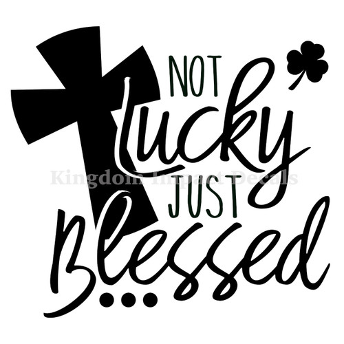 Not Lucky Just Blessed Christian Iron On Vinyl Decal Transfers for T-shirts/Sweatshirts