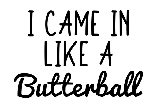 I Came In Like A Butterball Iron On Vinyl Decal Transfers for T-shirts/Sweatshirts