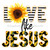 Love Like Jesus Sunflower