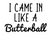 I Came In Like A Butterball Iron On Vinyl Decal Transfers for T-shirts/Sweatshirts