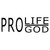 Pro Life Pro God Christian Iron On Vinyl Decal Transfers for T-shirts/Sweatshirts
