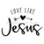 Love Like Jesus Heart Christian Iron On Vinyl Decal Transfers for T-shirts/Sweatshirts