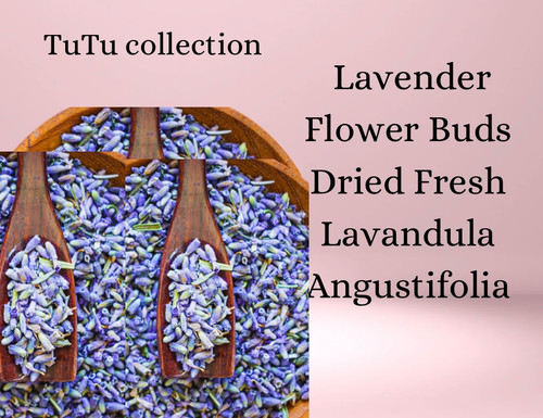 Lavender Flower Buds Dried Fresh  Lavandula Angustifolia