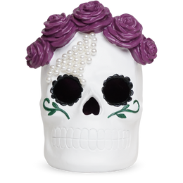 Pearl Skull Accent Shade