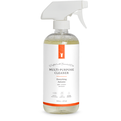 Everything Autumn 16 Fl. Oz. Multi-Purpose Cleaner