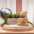 Teddy Bear Simmer Pot