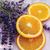 Pet Stain & Odor Remover Spray - Lavender Sprig & Orange with Sprayer