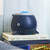 Whale, Hello There Simmer Pot