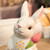 Tulip Bunny Accent Shade