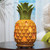 Pineapple Paradise Accent Shade