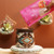 Southwest Simmer Pot Bundle 