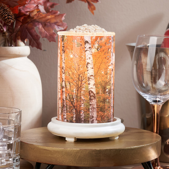 Autumn Forest Simmering Light with Antique White Base - Pink Zebra