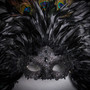Luxury Traditional Venice Women Carnival Masquerade Venetian Mask with Top Feather - Black (Close Up)