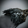 Raven Skull Bird Nose Feather Masquerade Mask - Brown