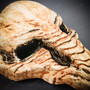 Plague Doctor Realstic Raven Skull Curved Long Nose Mask - Bone