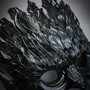 Raven Feather Masquerade Mask Gothic Bird Costume Mask - Black