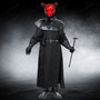 Masquerade Mask & Red Gothic Skull Mask Couple Mask Set