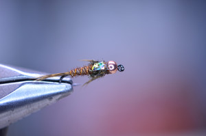 Beadhead Flashback pheasant tail Beadhead Flashback pheasant tail