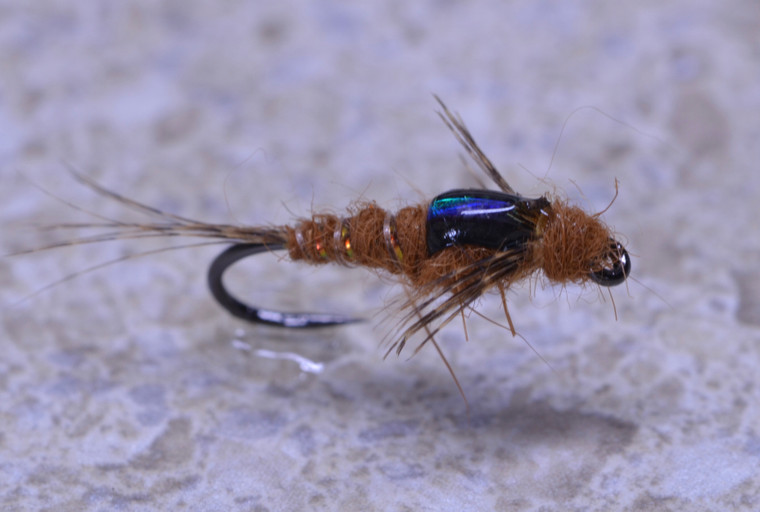 Blue Backed Mayfly Nymph