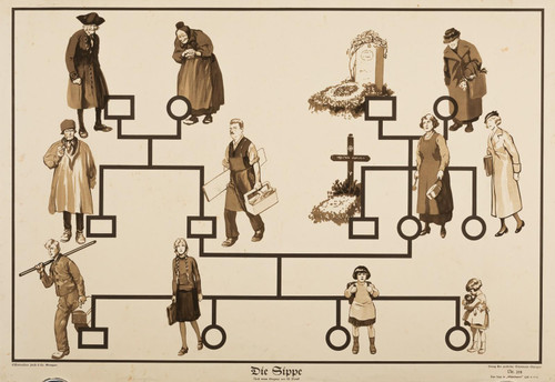 Large 1936 Dated Genealogy Teaching Poster