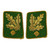 Reproduction Generaloberst Der Polizei Collar Tab Set