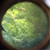WW2 Zeiss blc 12x60 Flak Telescope
