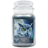 Wizard's Owl Large Glass Dome Jar Candle by Village Candle