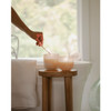 Paloma Petal Small Mojave Glass Candle by Illume Candles