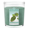 Cedar Mint 22 oz. Oval Jar Colonial Candle