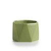 Chanterelle Moss Dylan Ceramic Illume Candle